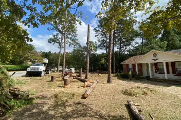 Epic tree-service equipment at a residential job site
