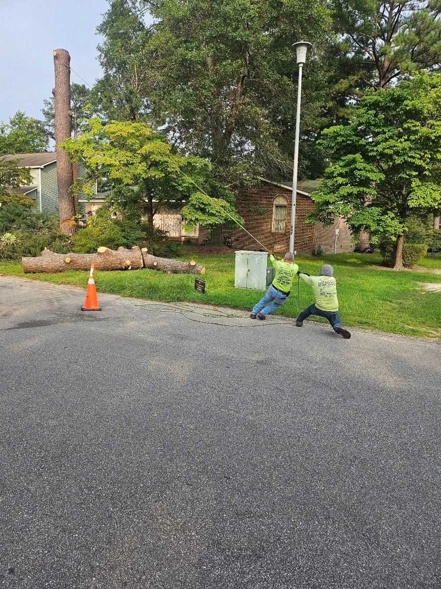 Epic tree-removal job-site media