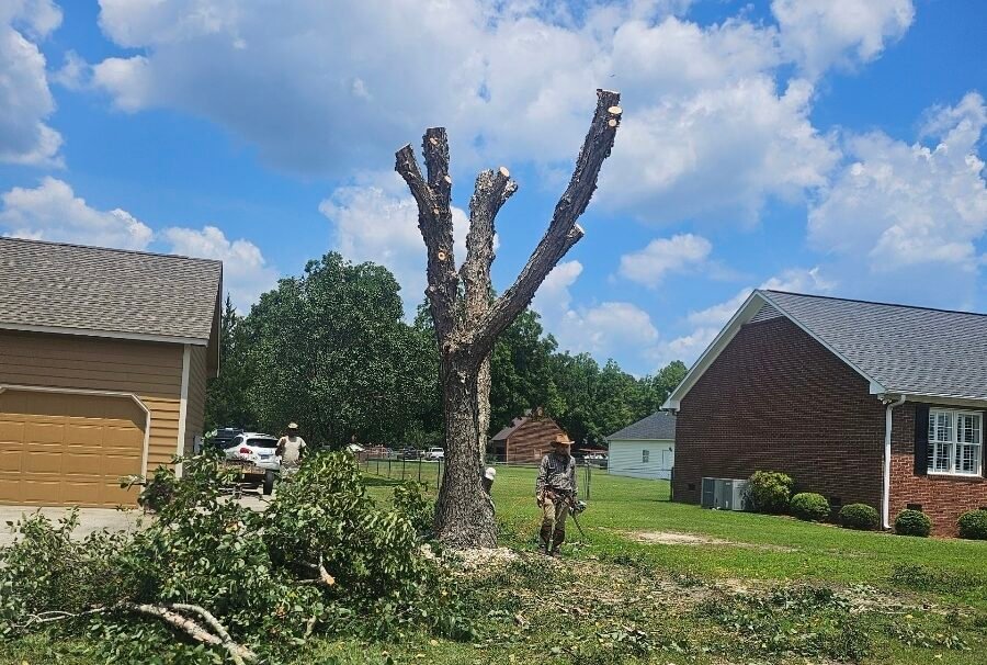 Epic tree-trimming job-site media