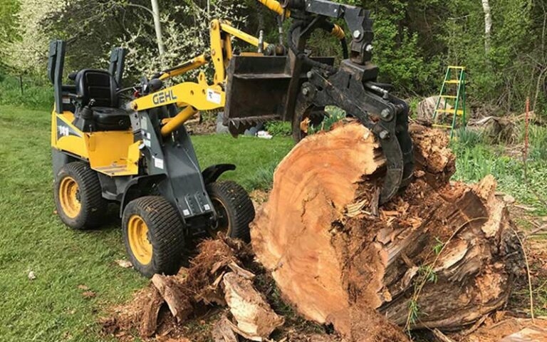 Stump grinding